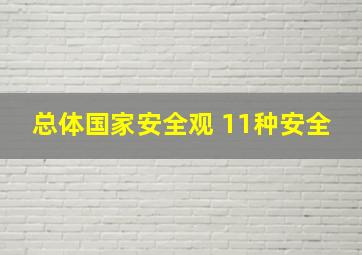 总体国家安全观 11种安全